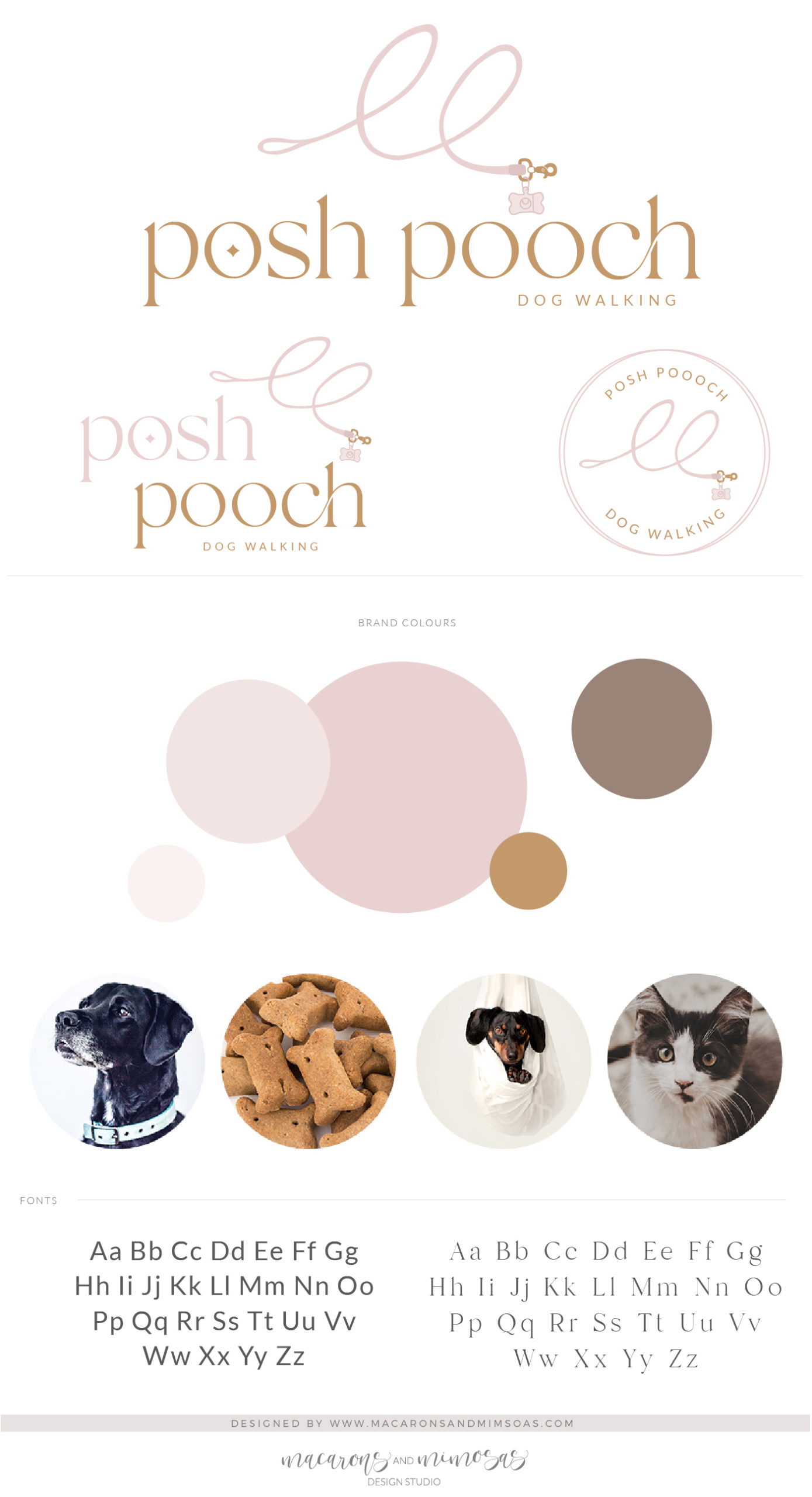 Dog Leash Logo Design, Premade Branding for Dog & Pet Groomer, Pet Sitter, Dog Walking and Training Logo Business Card Design