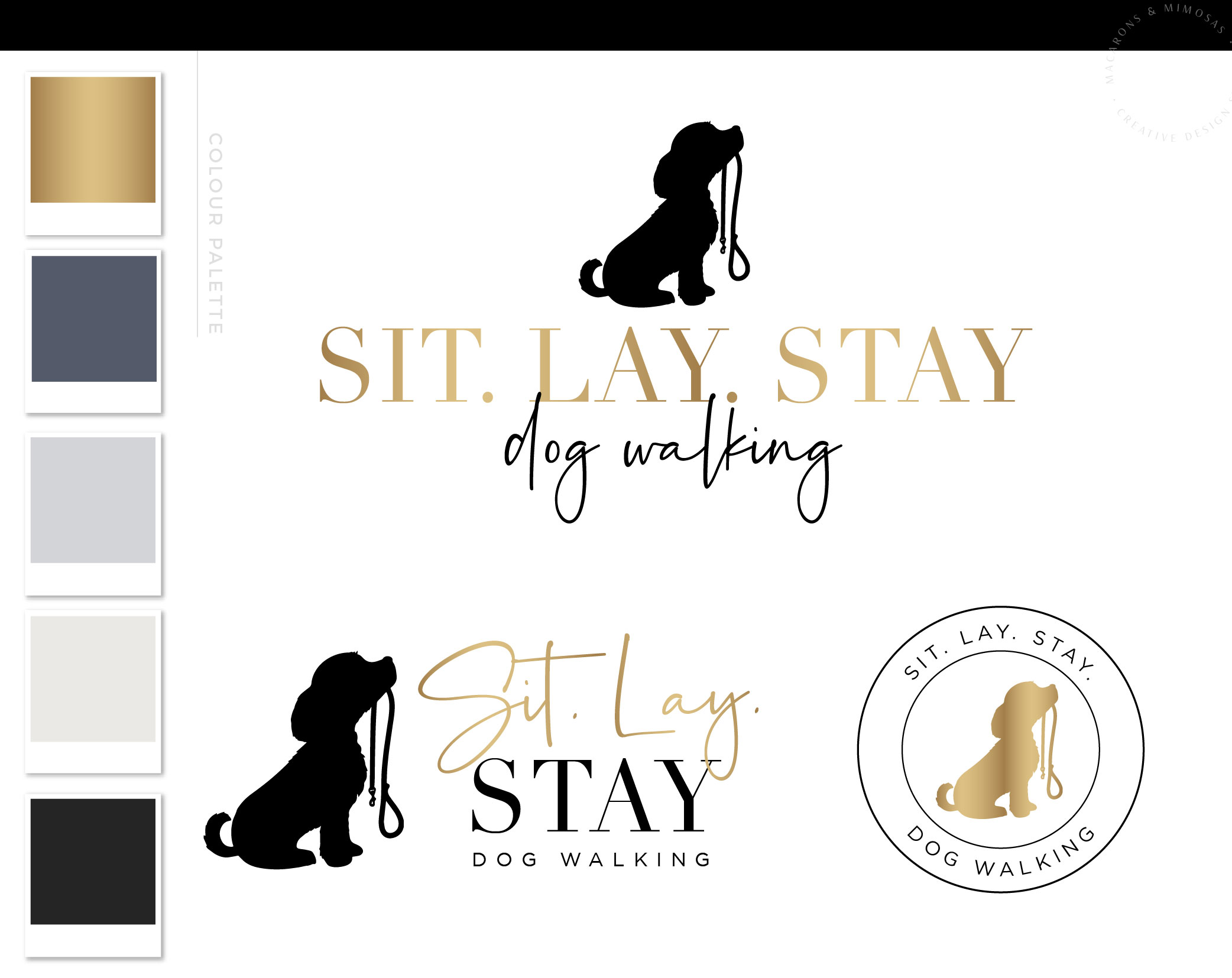 Dog Leash Logo Design, Pet Sitter Premade Branding for Dog & Cat Groomer, Dog Sitting Walking and Training plus Business Card Design