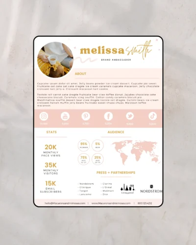 High-end partnership proposal template 2 pages editable in Canva showing creator statistics and collaboration layout