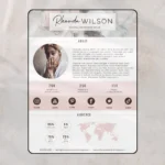 Pretty media kit examples, Influencer Media Kit, Press Kit, Pitch Kit, Blogger Template, Instagram Brand Ambassador Media Kit Template