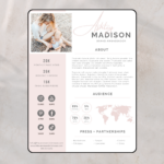 Canva social media pitch deck template with audience insights and brand collaboration layout