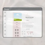 Canva social media pitch deck template with audience insights and brand collaboration layout