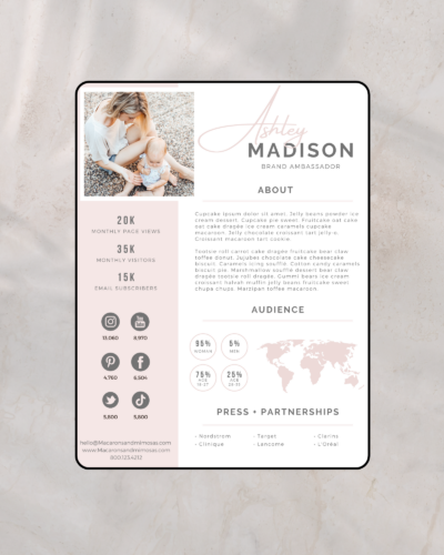 Canva social media pitch deck template with audience insights and brand collaboration layout