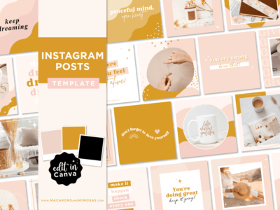 Boho Instagram Templates for Canva, Pink Instagram Templates for Stories and Posts, Canva Beauty Templates for Instagram Reels