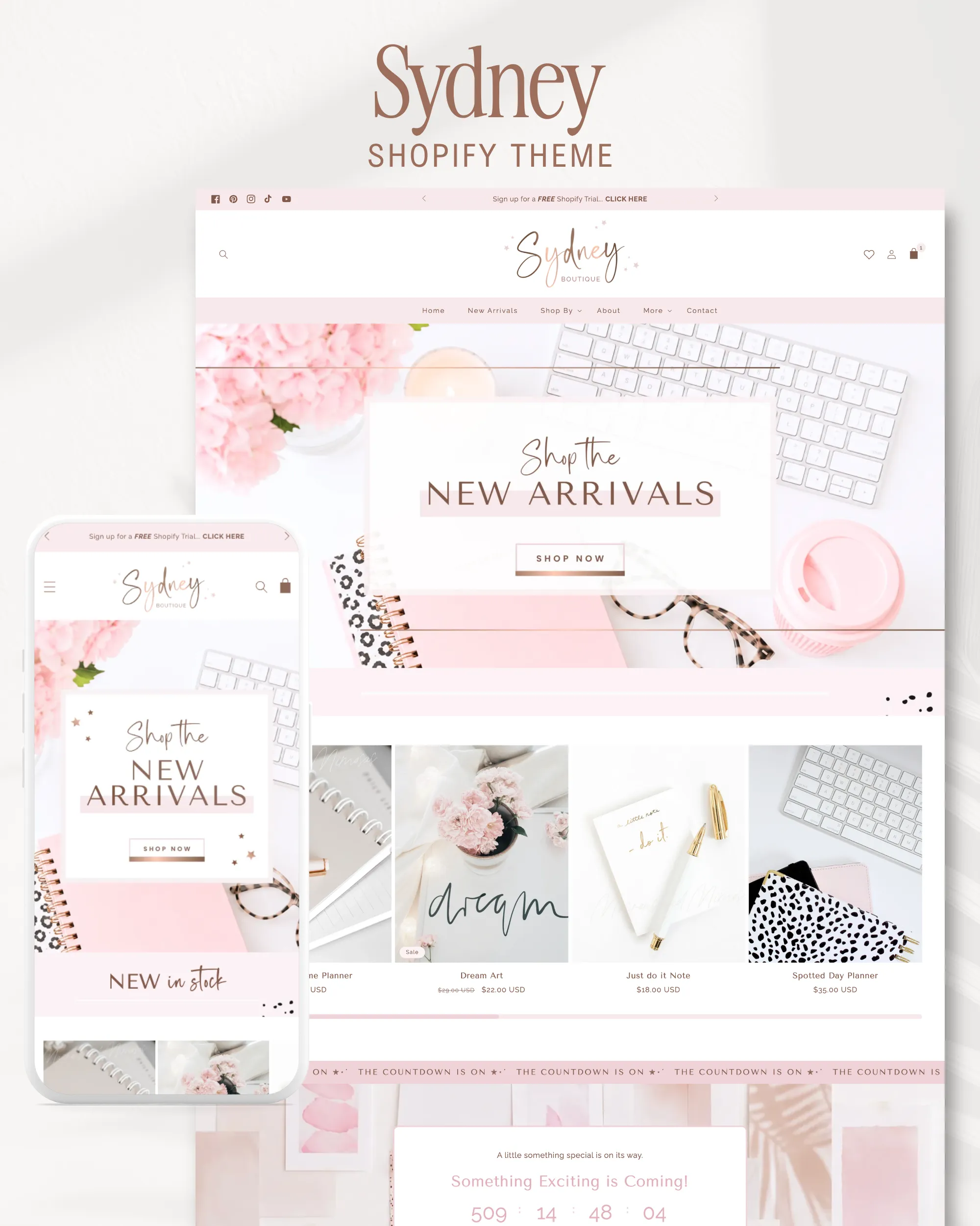 The Most Feature-Packed Shopify Theme for Subscription Box Businesses