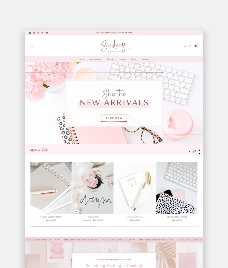 Rose gold feminine Shopify theme for planner shops and boutique fashion stores