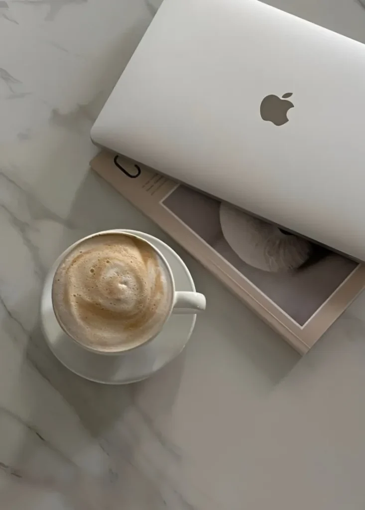 Shopify Theme Store