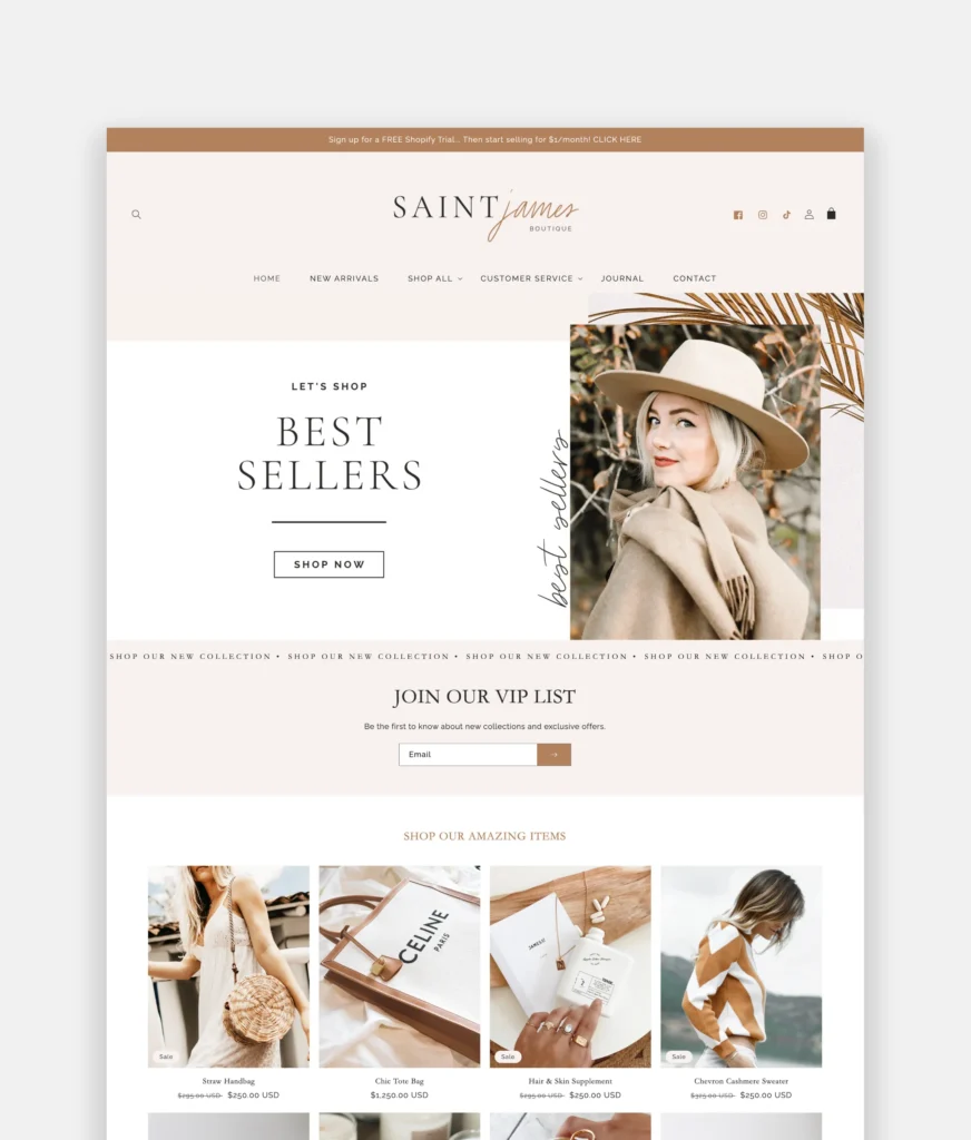 Best Shopify Theme Templates in Neutral color palette with premium built in features.