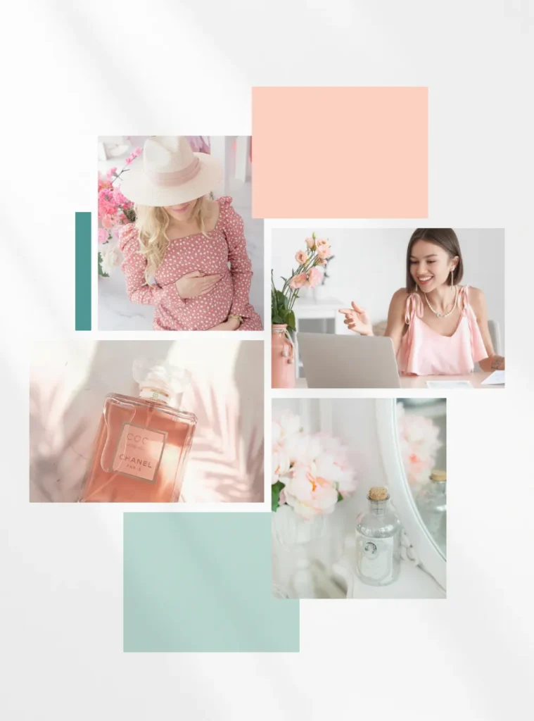 Daisy Shopify Collection