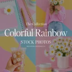 Colorful rainbow stock photo bundle featuring pastel workspace photography, daisies, and bright creative lifestyle imagery