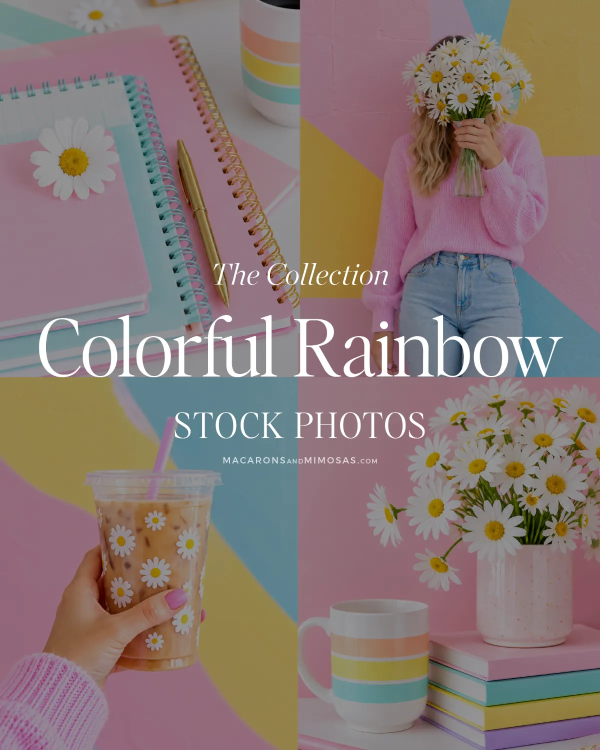 Colorful rainbow stock photo bundle featuring pastel workspace photography, daisies, and bright creative lifestyle imagery